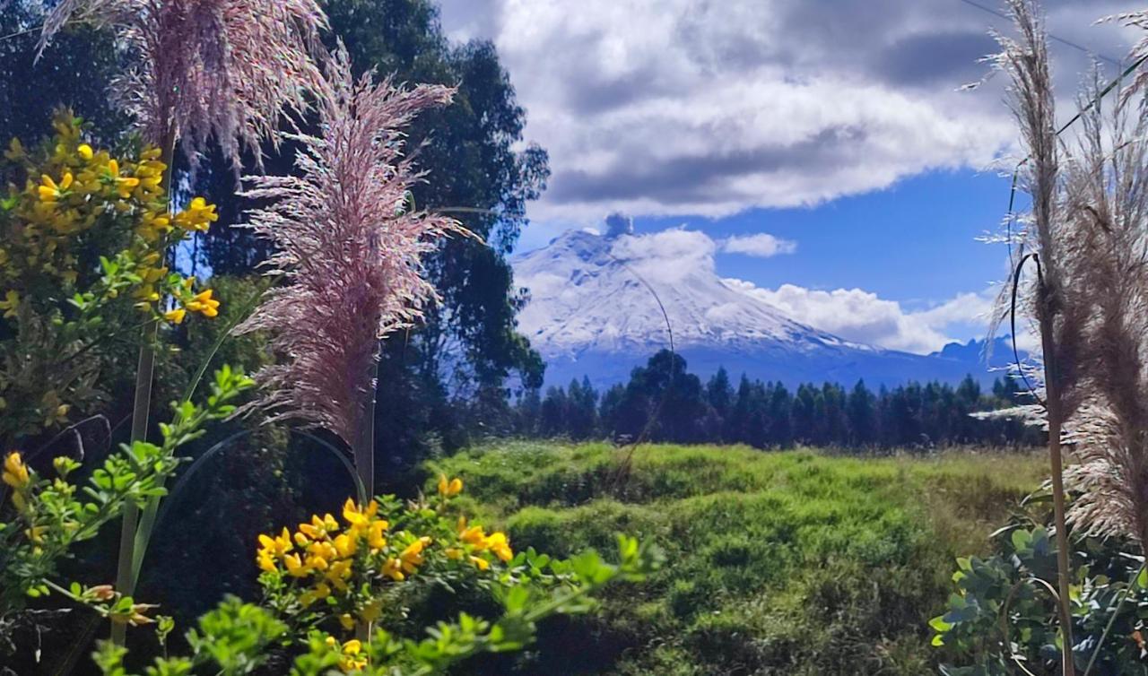 Cuscungo Cotopaxi Hostel & Lodge Chasqui Εξωτερικό φωτογραφία
